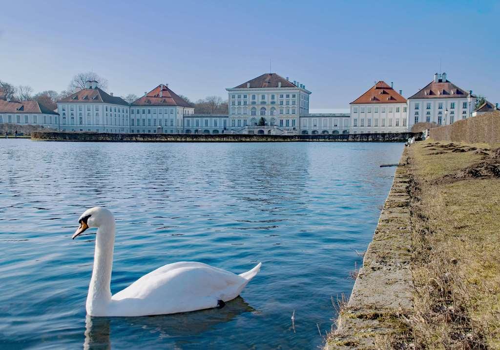 Arthotel Ana Munich Messe Bekvemmeligheder billede